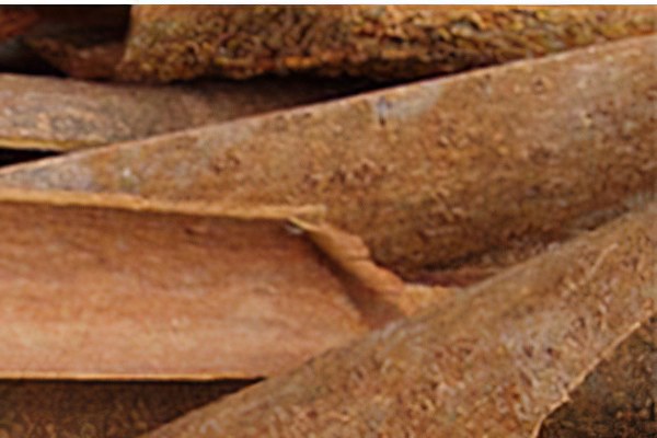 Малабарская корица (Cinnamomum Tamala Nees) Малабарская корица (Cinnamomum Tamala Nees)