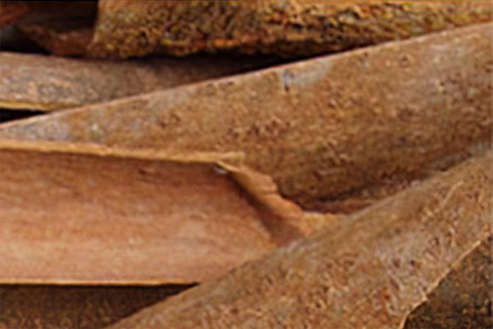 Малабарская корица (Cinnamomum Tamala Nees)
