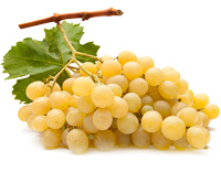 Виноград (мускатные сорта)