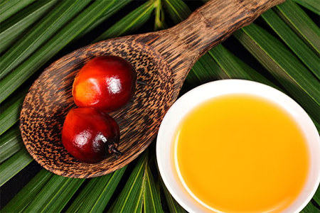 Почему пальмовое масло