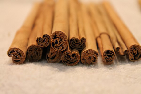Цейлонская корица (Cinnamomum zeylanicum) Цейлонская корица (Cinnamomum zeylanicum)