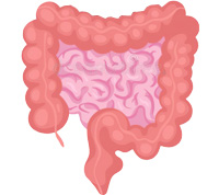 Для кишечника