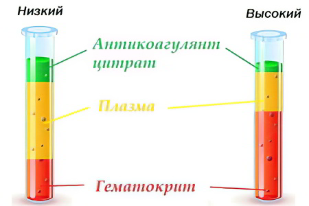 Гематокрит