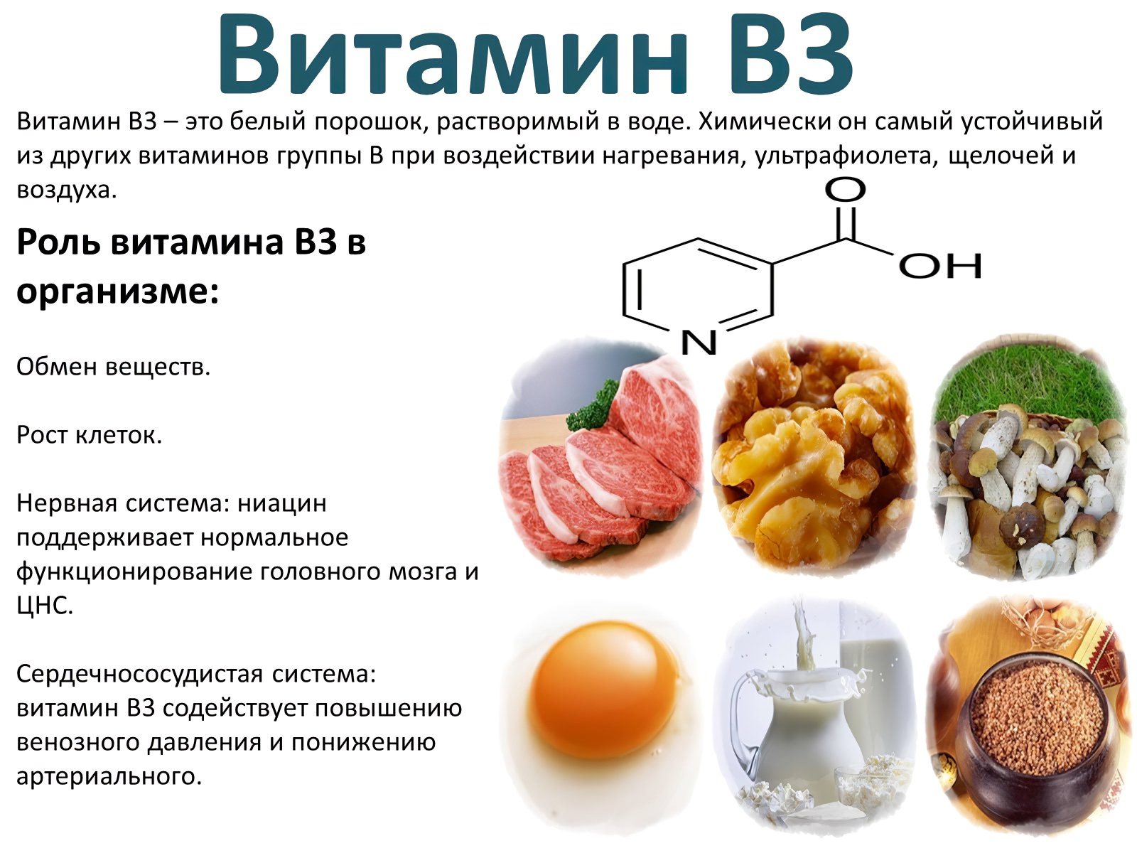 Питание б группа. Витамин в3 никотиновая кислота дефицит. Витамин б3 источники. Никотиновой кислоты в3 витамина источники. Витамин b3 (витамин PP, никотиновая кислота).