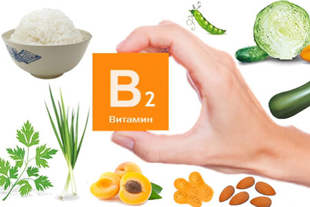 Биологическая роль витамина В2