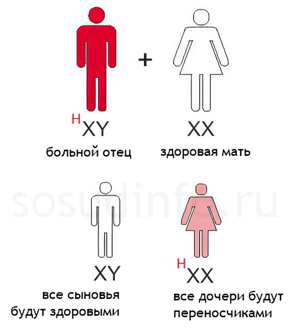 Варианты наследования заболевания