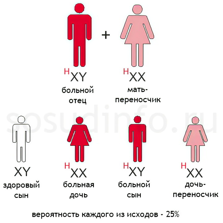 Варианты наследования заболевания