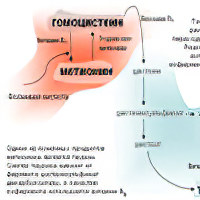 Гомоцистеин