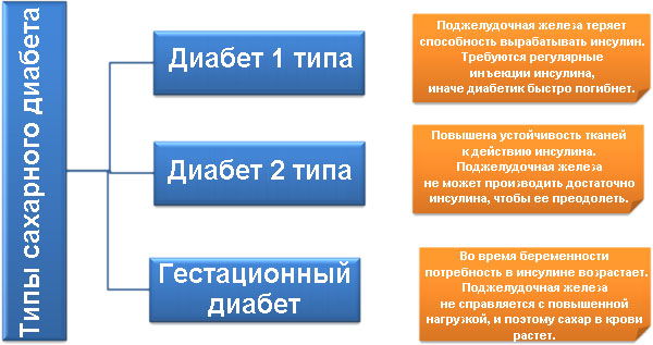 инсулин инсулин