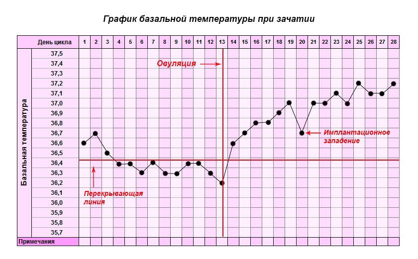 Базальная температура тела