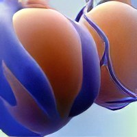 Фолликул в яичнике лечение народными средствами Фолликул в яичнике лечение народными средствами thumbnail