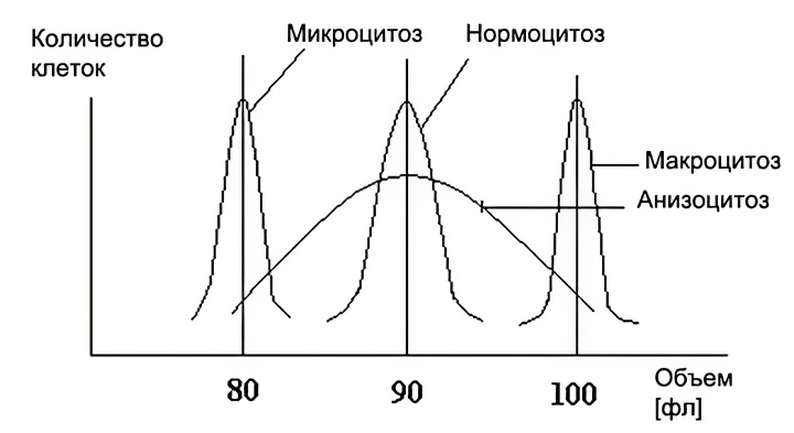 Необходимость сдачи мазка