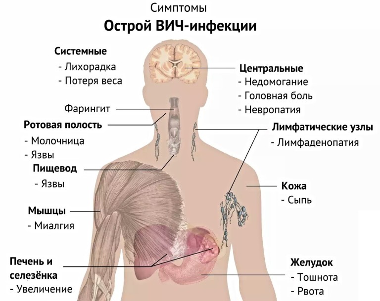 Стадия первичных проявлений