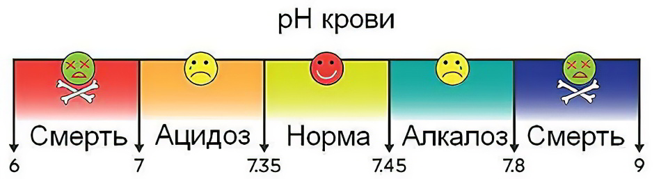 pH крови