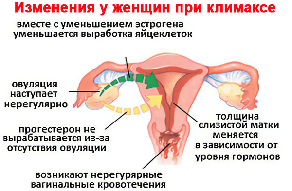 период менопаузы