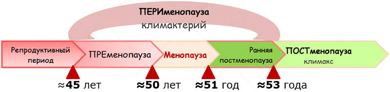 Этапы климакса у женщин