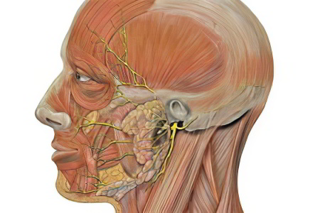 Причины защемления лицевого нерва