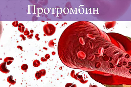Витамин К и фактор свёртывания крови