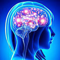 Ускорение работы мозга и улучшение памяти