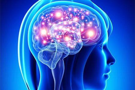 15 веществ, ускоряющих работу мозга и улучшающих память