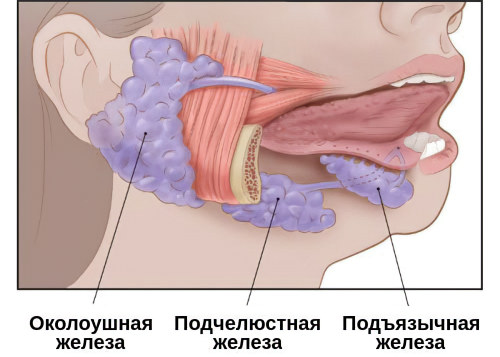 сиалоаденит