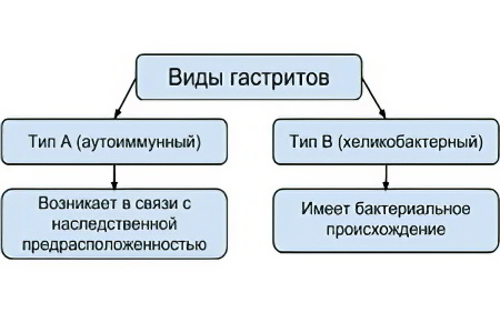 Виды гастрита