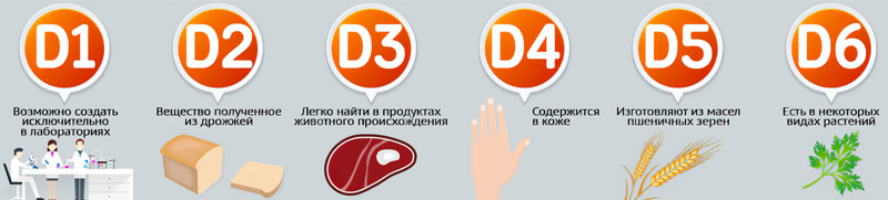 6 форм витамина D 6 форм витамина D