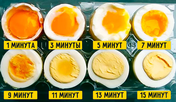 Степень приготовления яйца по минутам после закипания