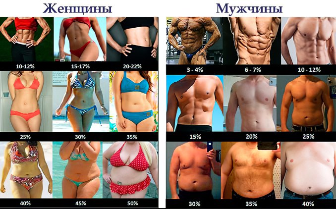 Стандартная кето диета Стандартная кето диета