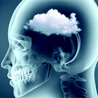 Туман в голове? 4 продукта для мозга и остроты ума