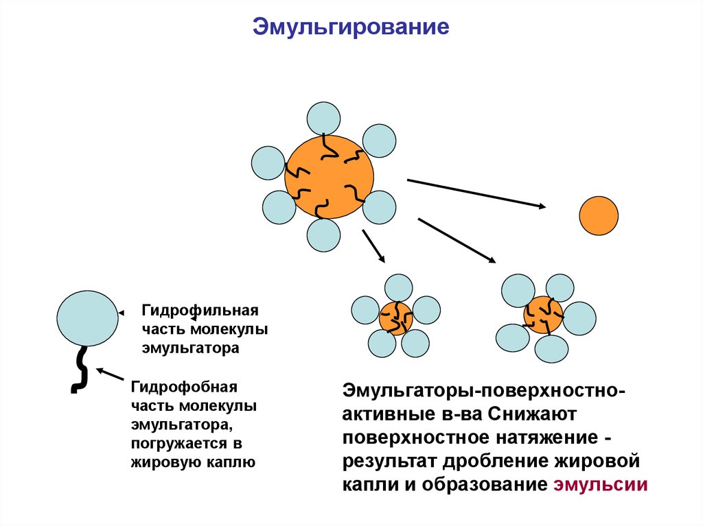 эмульгирования липидов