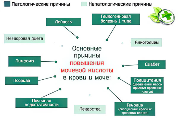 Патологические и непатологические причины